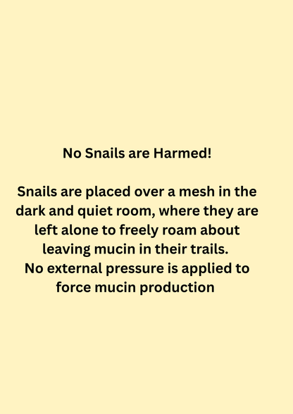 COSRX - All About Snail Kit